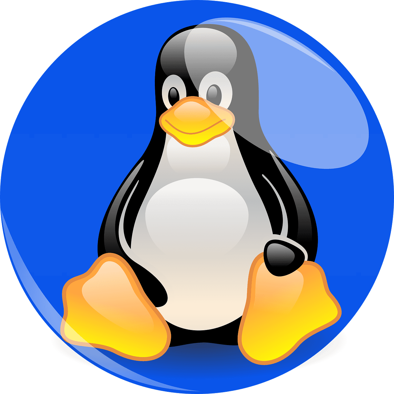 Jawaban atas Pertanyaan Umum tentang Linux